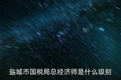鹽城市國稅局總經(jīng)濟(jì)師是什么級(jí)別