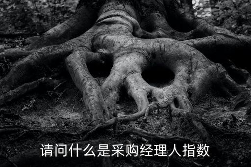 采購(gòu)經(jīng)理人指數(shù)是什么，IVEY采購(gòu)經(jīng)理人指數(shù)指的是什么