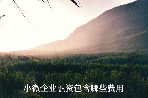 小微企業(yè)兩禁資金管理費(fèi)指什么，減半征收城鎮(zhèn)土地使用稅和房產(chǎn)稅的小微企業(yè)標(biāo)準(zhǔn)