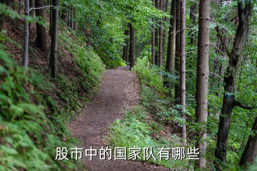 股票國(guó)家隊(duì)是什么，股票國(guó)家隊(duì)是什么意思