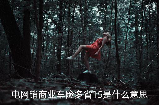 電網(wǎng)銷是什么意思，電網(wǎng)銷商業(yè)車險多省15是什么意思