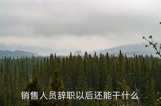 銷(xiāo)售人員辭職以后還能干什么