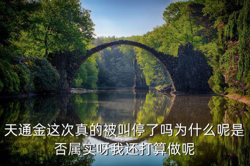 天通金為什么被叫停，天通金這次真的被叫停了嗎為什么呢是否屬實呀我還打算做呢