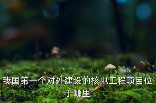 我國第一個對外建設(shè)的核電工程項目位于哪里
