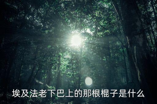 埃及法老的胡子叫什么，胡扶是埃及的第幾代法老