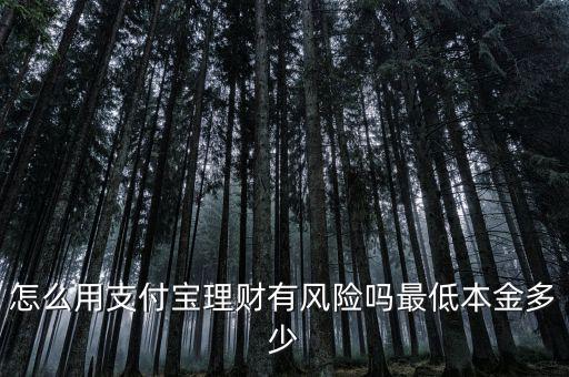 怎么用支付寶理財有風(fēng)險嗎最低本金多少
