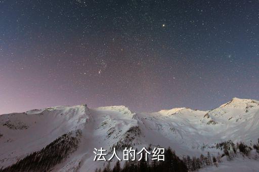 法人渠道是什么意思，法人的介紹