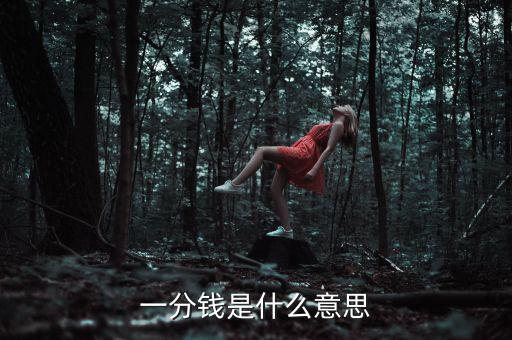 支付寶錢包一分錢是什么意思，一分錢是什么意思