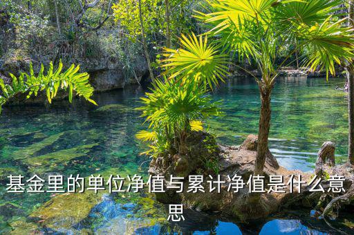 基金凈值和累計(jì)凈值是什么，基金里的單位凈值與累計(jì)凈值是什么意思