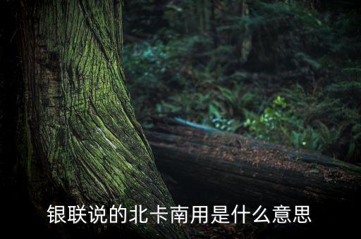 銀聯(lián)說的北卡南用是什么意思，西科東艾北卡南麥下一句是什么