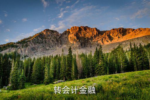 什么是外匯飽和，國外網友說要轉外幣給我叫我轉給她國內的朋友她國內的朋友銀
