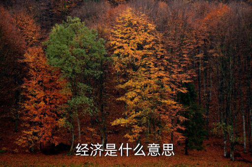 什么經濟，什么是商品經濟