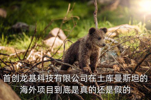 首創(chuàng)龍基科技有限公司在土庫曼斯坦的海外項(xiàng)目到底是真的還是假的