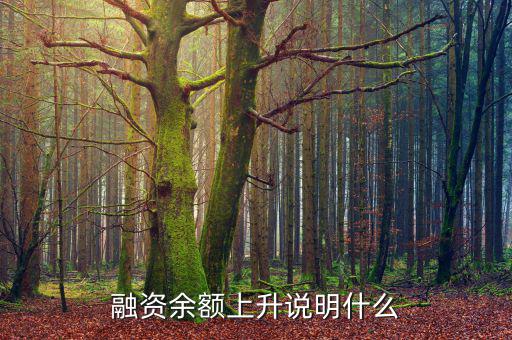 濰柴融資額度很高說明什么，融資余額上升說明什么