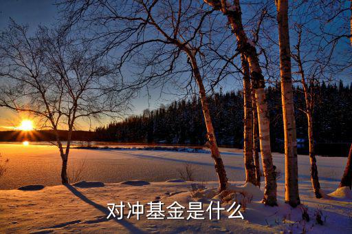 對(duì)沖基金到底是什么，對(duì)沖基金是什么