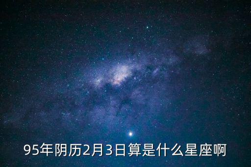 95年陰歷2月3日算是什么星座啊