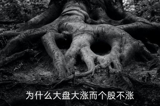 板塊都漲我的個股不長什么原因，為什么大盤大漲而個股不漲