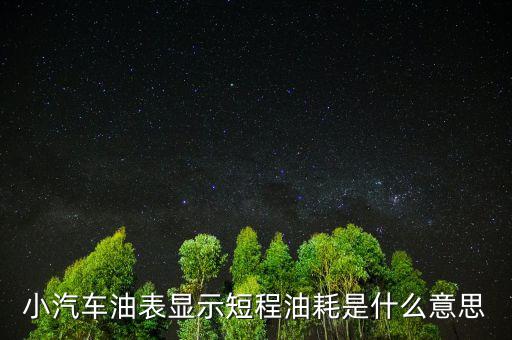 油耗顯示是指什么，請(qǐng)教專業(yè)人士瞬時(shí)油耗顯示是什么意思