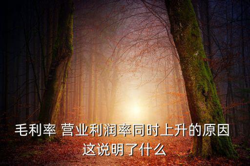 毛利率增長說明什么，增值稅毛利率的高低說明什么