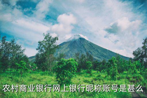 吳江農(nóng)村商業(yè)銀行用戶(hù)名是什么，銀行用戶(hù)名是什么