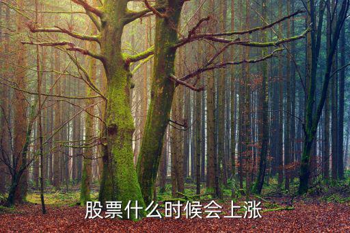 股票在什么情況下才會漲，股票什么時(shí)候會上漲