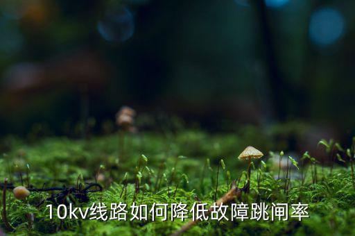 為什么巡視一汽集團，考駕照筆試可以照抄嗎