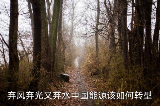 什么是能源轉型，棄風棄光又棄水中國能源該如何轉型
