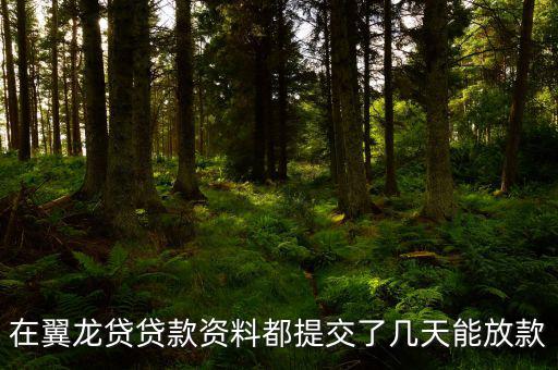 翼龍貸什么時候放項(xiàng)目，在翼龍貸貸款資料都提交了幾天能放款