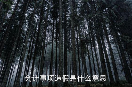 會計事項(xiàng)造假是什么意思
