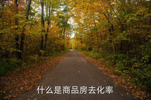 什么是新開(kāi)樓盤去化率，房產(chǎn)去化率是什么