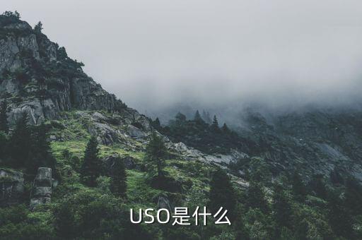 uso是什么基金，什么是USO