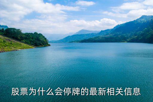 金盾股份為什么停牌，金盾股份停牌己一月再過半月后復(fù)牌行情會(huì)怎樣謝謝  搜