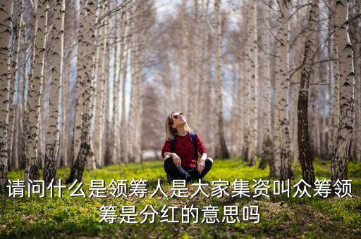 什么是領投人，請問什么是領籌人是大家集資叫眾籌領籌是分紅的意思嗎