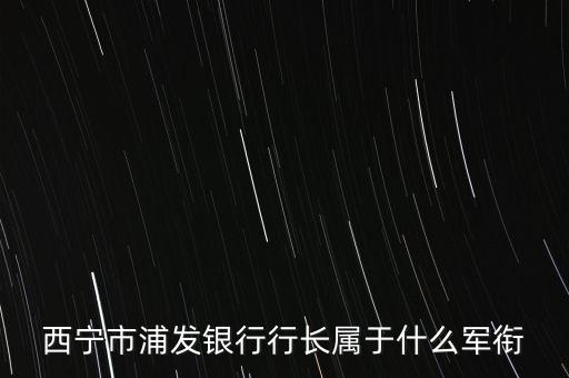 李照智屬什么級(jí)別領(lǐng)導(dǎo)，李照智是誰(shuí)