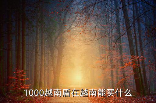1越南盾能買什么，1盾越南幣能買什么