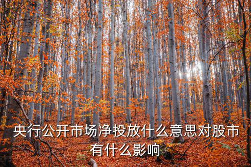 什么是央行凈投放，央行凈投放是甚么意思