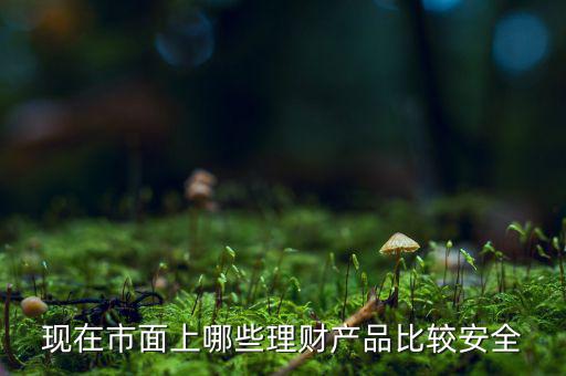 什么理財產品安全，做理財哪種安全些