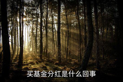 基金為什么分紅，買基金分紅是什么回事