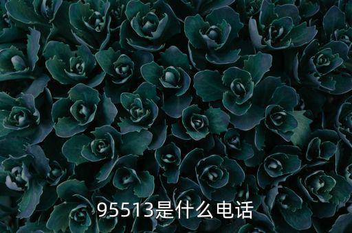 95513是什么電話