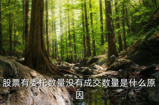 股票沒有成交量是什么情況，為什么股票沒有成交
