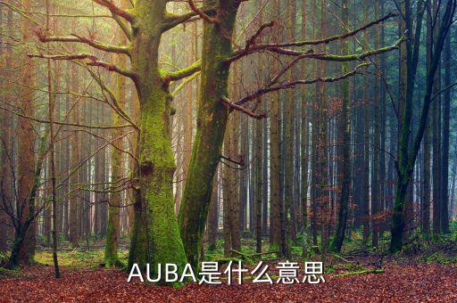華夏現(xiàn)金增利貨幣a是什么，AUBA是什么意思
