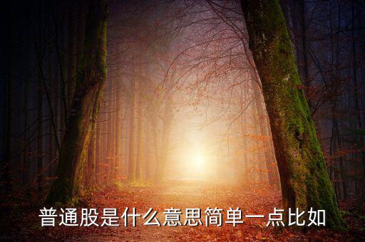 普通股是什么意思簡(jiǎn)單一點(diǎn)比如