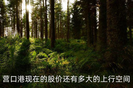 營口港為什么漲停，營口港股票怎么了