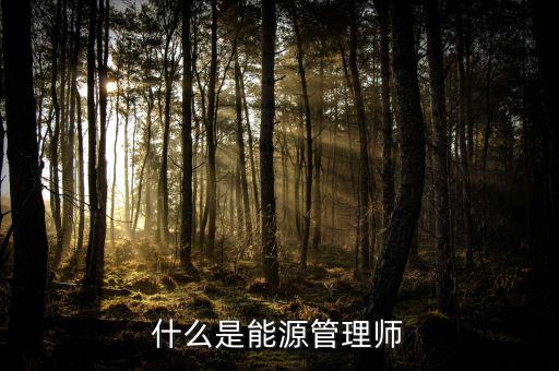 什么是能源沙，煤沙是什么是煤沒有燃燒之前篩選出來的還是燃燒過之后產(chǎn)生的