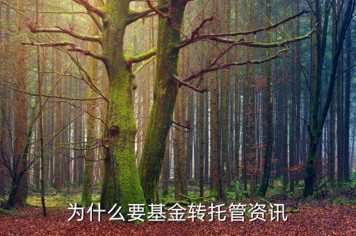 為什么資金托管，為什么要基金轉(zhuǎn)托管資訊