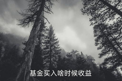 買基金什么時候算收益，基金買入啥時候收益