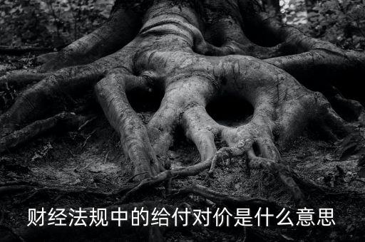 支付對價是什么意思，財經(jīng)法規(guī)中的給付對價是什么意思