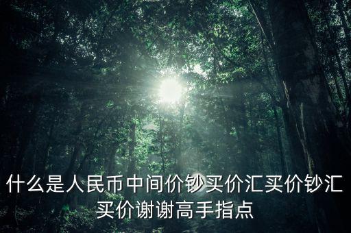什么是人民幣中間價(jià)鈔買(mǎi)價(jià)匯買(mǎi)價(jià)鈔匯買(mǎi)價(jià)謝謝高手指點(diǎn)