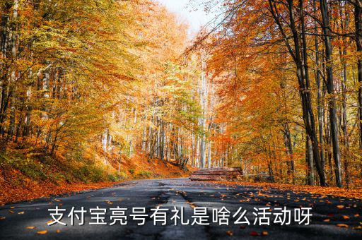 支付寶首貸有禮是什么，支付寶亮號有禮是啥么活動呀