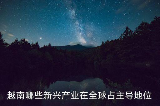 越南有什么制造業(yè)，越南哪些新興產業(yè)在全球占主導地位
